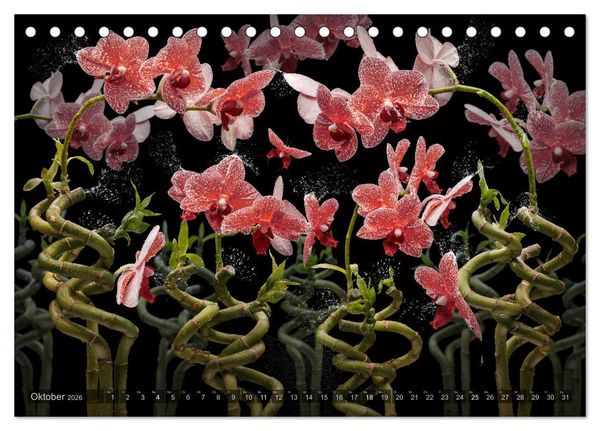 Produktbild: Orchidea (Tischkalender 2026 DIN A5 quer), CALVENDO Monatskalender