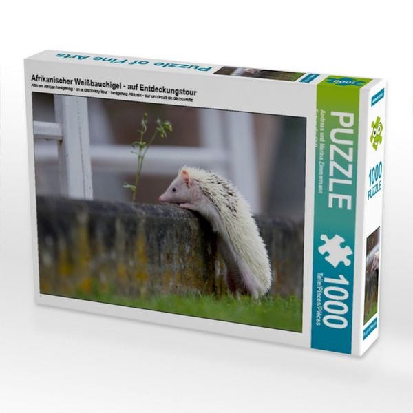 CALVENDO Puzzle Afrikanischer Weißbauchigel - auf Entdeckungstour | 1000 Teile Lege-Größe 64 × 48 cm Foto-Puzzle für glückliche Stunden