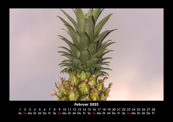 Produktbild: Obstkalender 2025 Fotokalender DIN A3