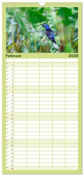 Produktbild: Familienplaner 2026 - Costa Rica - Tierwelt und Landschaften mit 5 Spalten (Wandkalender, 21 x 45 cm) CALVENDO