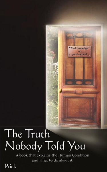 Produktbild: The Truth Nobody Told You