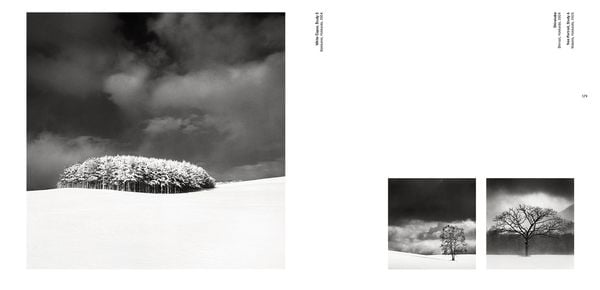 Produktbild: Forms of Japan: Michael Kenna (deutsche Ausgabe)