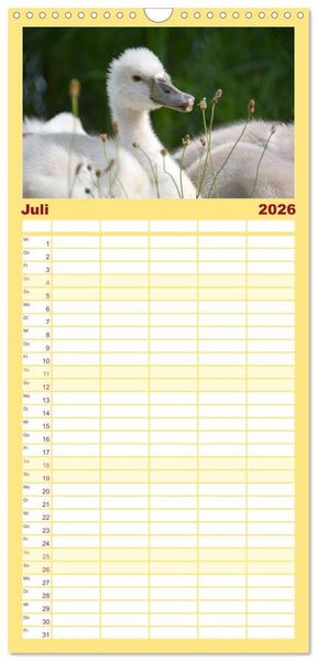 Produktbild: Familienplaner 2026 - Nachwuchs in der Tierwelt mit 5 Spalten (Wandkalender, 21 x 45 cm) CALVENDO