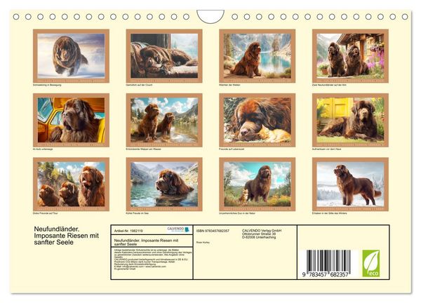 Produktbild: Neufundl&auml;nder. Imposante Riesen mit sanfter Seele (Wandkalender 2026 DIN A4 quer), CALVENDO Monatskalender