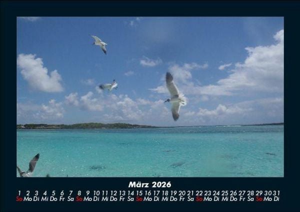 Produktbild: Vogelparadies 2026 Fotokalender DIN A5