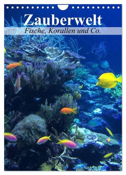 Produktbild: Zauberwelt. Fische, Korallen und Co. (Wandkalender 2026 DIN A4 hoch), CALVENDO Monatskalender