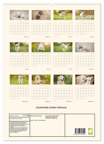 Produktbild: Zauberhafte Golden Retriever (hochwertiger Premium Wandkalender 2026 DIN A2 hoch), Kunstdruck in Hochglanz
