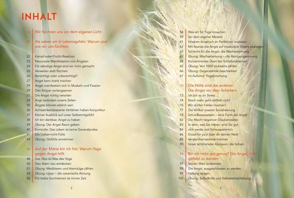 Produktbild: Diese verdammten &Auml;ngste (mit DVD)