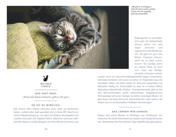 Produktbild: Die unglaublichen Fähigkeiten der Katze