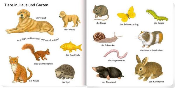 Produktbild: 100 erste Tiere