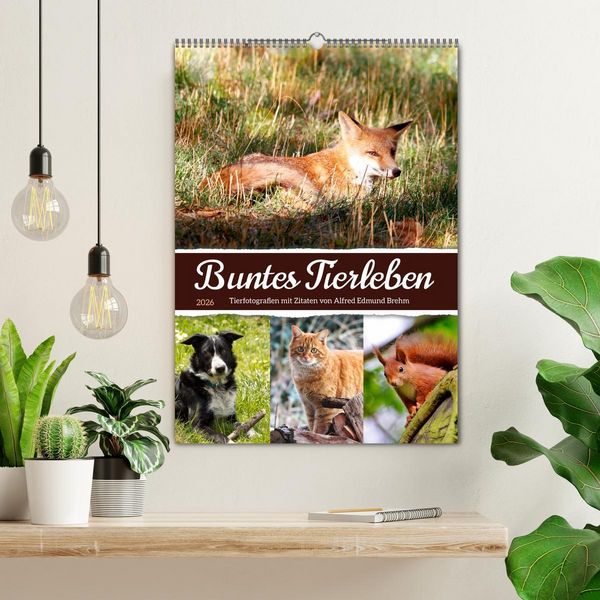 Produktbild: Buntes Tierleben (Wandkalender 2026 DIN A2 hoch), CALVENDO Monatskalender