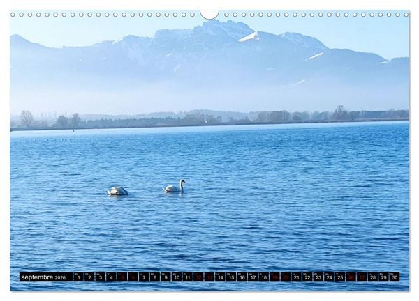 Produktbild: Bons baisers du Chiemsee (Calendrier mural 2026 DIN A3 vertical), CALVENDO calendrier mensuel