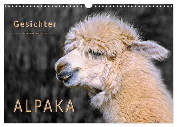 Produktbild: Alpaka Gesichter (Wandkalender 2026 DIN A3 quer), CALVENDO Monatskalender