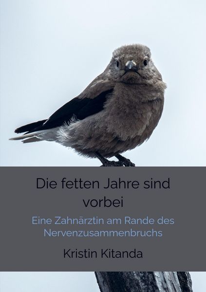 Produktbild: Die fetten Jahre sind vorbei