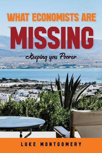 Produktbild: What Economists Are Missing - Keeping you Poorer