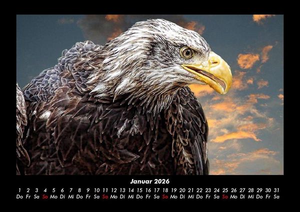 Produktbild: Adler 2026 Fotokalender DIN A3