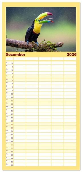 Produktbild: Familienplaner 2026 - Phantastische Vogelwelt Costa Rica mit 5 Spalten (Wandkalender, 21 x 45 cm) CALVENDO