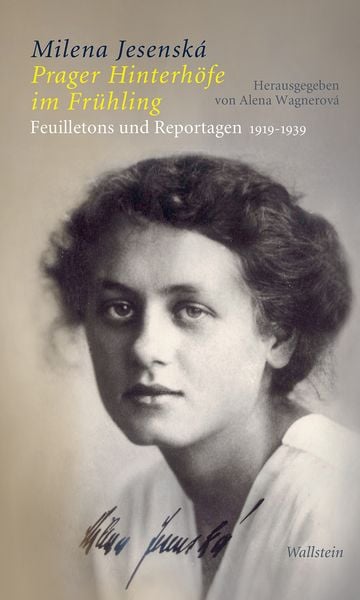 Prager Hinterhöfe im Frühling, Gebundene Ausgabe von Milena Jesenská, Wallstein Verlag, 9783835338272