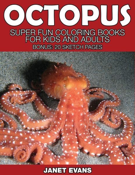 Produktbild: Octopus