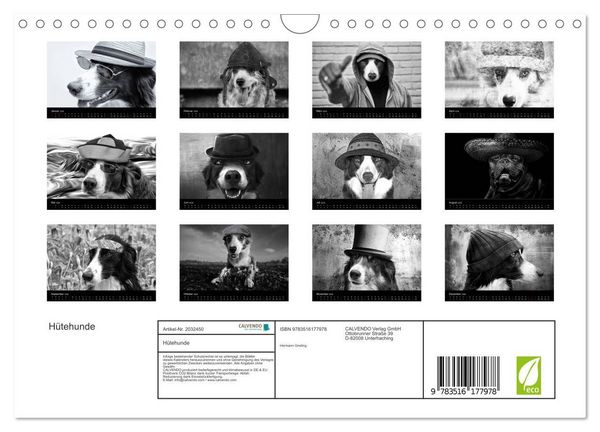 Produktbild: H&uuml;tehunde (Wandkalender 2026 DIN A4 quer), CALVENDO Monatskalender