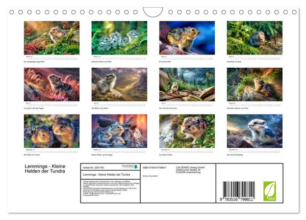 Produktbild: Lemminge - Kleine Helden der Tundra (Wandkalender 2027 DIN A4 quer), CALVENDO Monatskalender