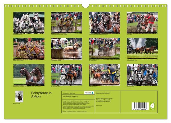 Produktbild: Fahrpferde in Aktion (Wandkalender 2026 DIN A3 quer), CALVENDO Monatskalender