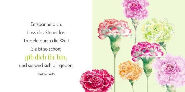 Produktbild: Alle guten W&uuml;nsche