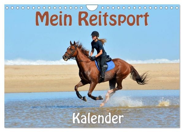 Produktbild: Mein Reitsport Kalender (Wandkalender 2026 DIN A4 quer), CALVENDO Monatskalender