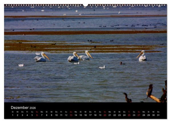 Produktbild: Donaudelta (Wandkalender 2026 DIN A2 quer), CALVENDO Monatskalender