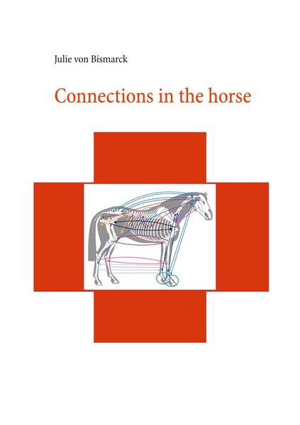 Produktbild: Connections in the horse