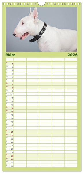 Produktbild: Familienplaner 2026 - Pit Bull und Co. - Geliebt, gef&uuml;rchtet, missverstanden mit 5 Spalten (Wandkalender, 21 x 45 cm) CALVENDO
