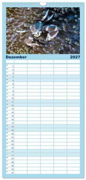 Produktbild: Familienplaner 2027 - Faszination blaue Unterwasserwelt mit 5 Spalten (Wandkalender, 21 x 45 cm) CALVENDO