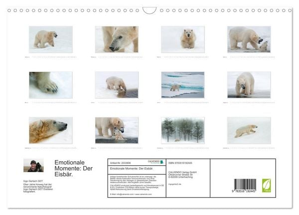 Produktbild: Emotionale Momente: Der Eisb&auml;r. (Wandkalender 2026 DIN A3 quer), CALVENDO Monatskalender
