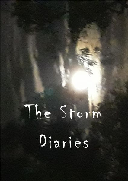 Produktbild: The Storm Diaries