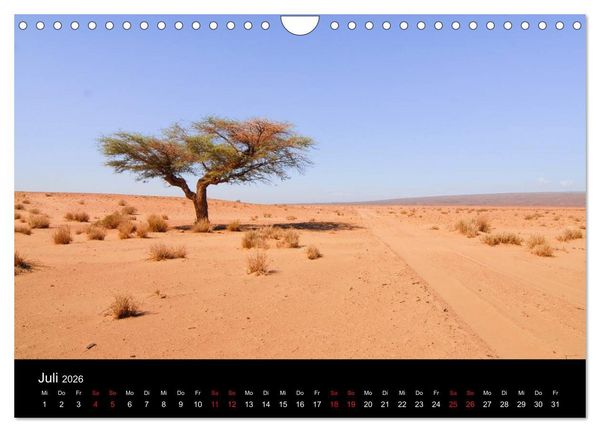 Produktbild: Sahara W&uuml;stentrekking (Wandkalender 2026 DIN A4 quer), CALVENDO Monatskalender