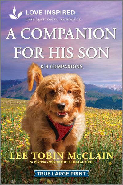 Produktbild: A Companion for His Son