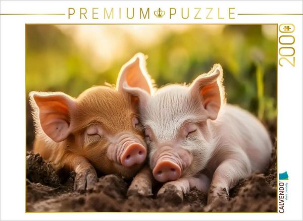 Produktbild: CALVENDO Puzzle Schweine | 2000 Teile Lege-Gr&ouml;&szlig;e 90x67cm Foto-Puzzle f&uuml;r gl&uuml;ckliche Stunden