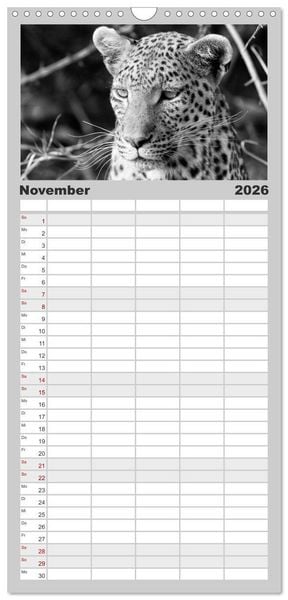 Produktbild: Familienplaner 2026 - Afrika Schwarz - Weiss mit 5 Spalten (Wandkalender, 21 x 45 cm) CALVENDO
