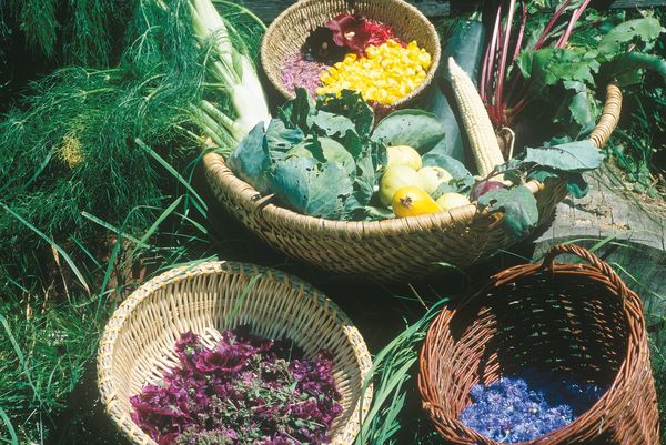 Produktbild: Gesund durchs Jahr mit der Kr&auml;uterb&auml;uerin