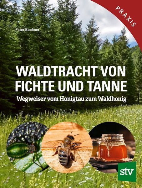 Produktbild: Waldtracht von Fichte und Tanne