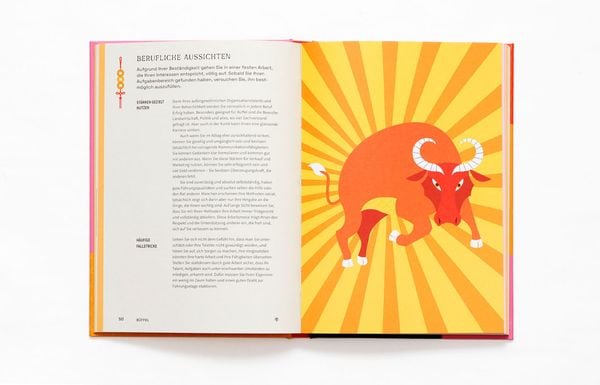 Produktbild: Chinesische Astrologie