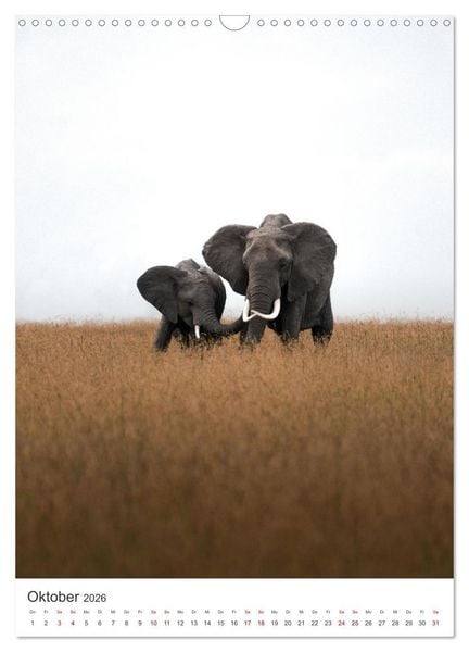 Produktbild: Elefanten - Die Herzeroberer der Tierwelt. (Wandkalender 2026 DIN A3 hoch), CALVENDO Monatskalender