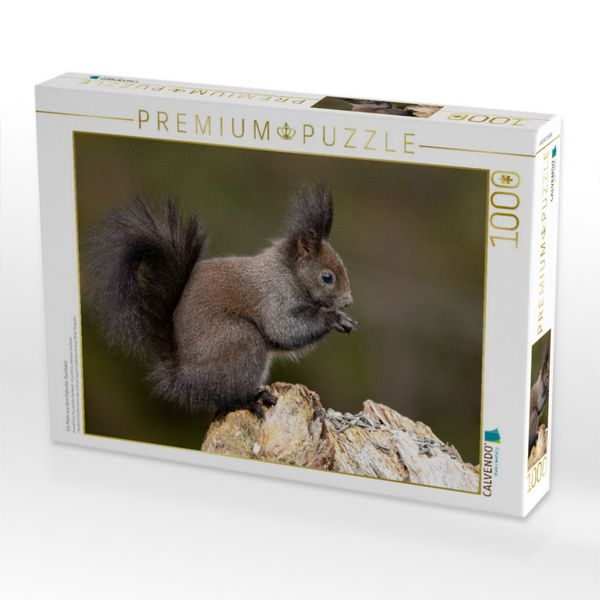 Produktbild: CALVENDO Puzzle Ein Motiv aus dem Kalender Oachkatzl | 1000 Teile Lege-Gr&ouml;&szlig;e 64x48cm Foto-Puzzle f&uuml;r gl&uuml;ckliche Stunden