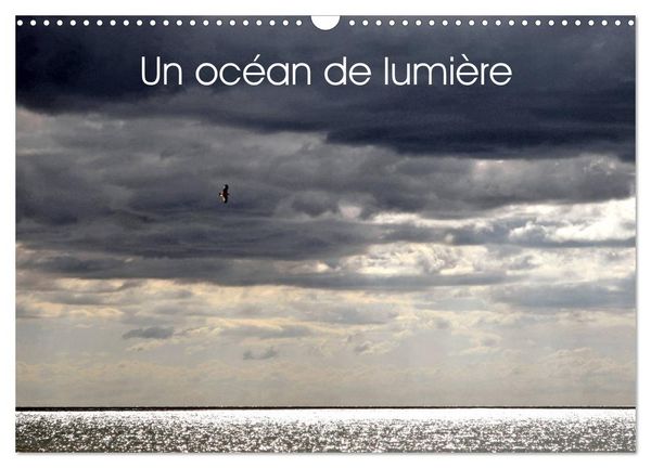 Un océan de lumière (Calendrier mural 2026 DIN A3 vertical), CALVENDO calendrier mensuel