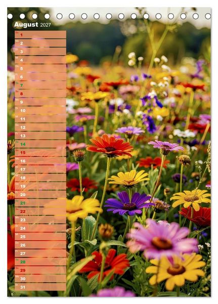 Produktbild: Bunte Farben der Natur (Tischkalender 2027 DIN A5 hoch), CALVENDO Monatskalender