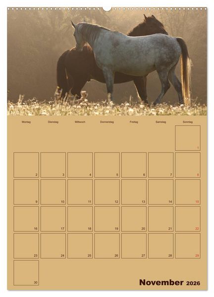Produktbild: Pferde Gute Freunde (hochwertiger Premium Wandkalender 2026 DIN A2 hoch), Kunstdruck in Hochglanz