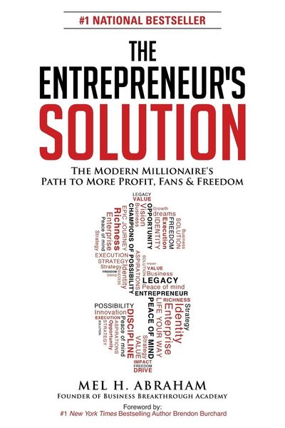 Produktbild: The Entrepreneur's Solution