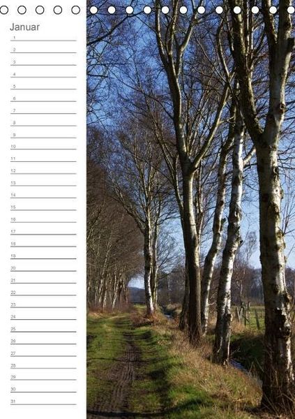Produktbild: Malerisches Teufelsmoor (Tischkalender immerw&auml;hrend DIN A5 hoch)