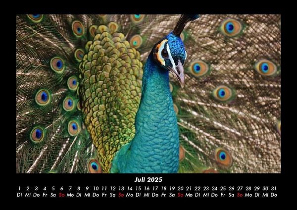 Produktbild: Welt der V&ouml;gel 2025 Fotokalender DIN A3