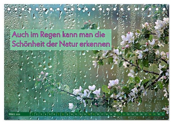 Produktbild: Regenmomente &ndash; Spr&uuml;che f&uuml;r graue Tage (Tischkalender 2026 DIN A5 quer), CALVENDO Monatskalender